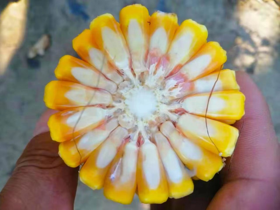 微信圖片_20230711083606