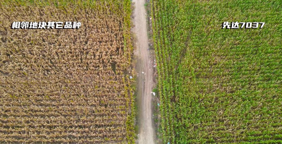 微信圖片_20230711083621