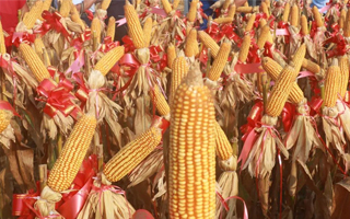 綠水晶新單58機(jī)收測(cè)產(chǎn)大會(huì)暨河南市場(chǎng)啟動(dòng)會(huì)順利召開(kāi)