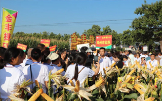 鑄就金豐捷金賽501，火爆黃淮海譜新篇！