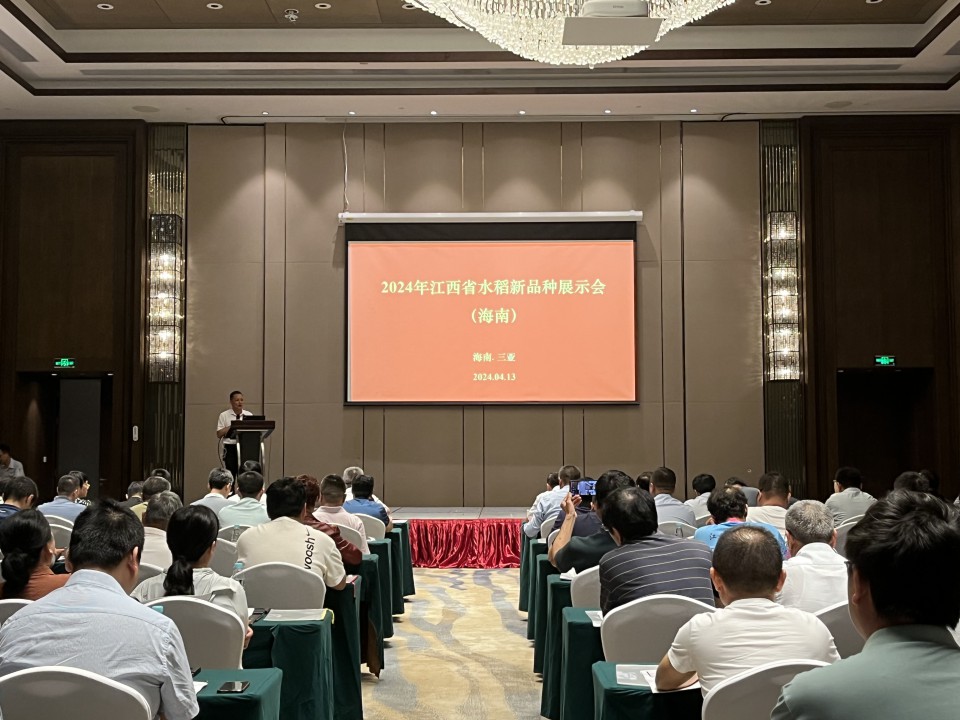 d176ff87-3df4-4a47-9a6f-a50a3f5cea78