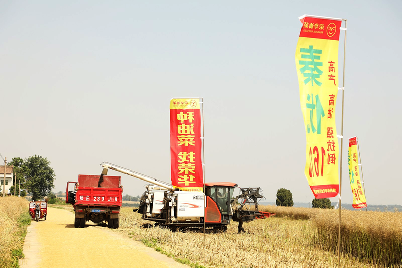 1c8dfc69fc9d8d9d0f4e480faa6a53fc_img_151_553_384_256