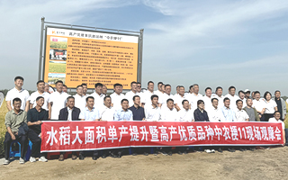 高產(chǎn)優(yōu)質(zhì)新品種中農(nóng)粳11現(xiàn)場(chǎng)觀摩會(huì)舉行