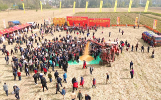 1995.7斤！康農(nóng)玉8009安徽宿州觀摩測產(chǎn)及兌現(xiàn)大會傳捷報