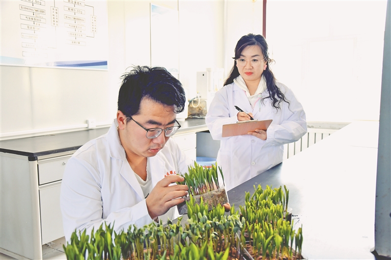 d5940db2-078c-469e-9aa9-5b74790622fe