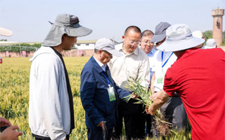 全國小麥抗白粉病育種工作推進會議近日在河北召開