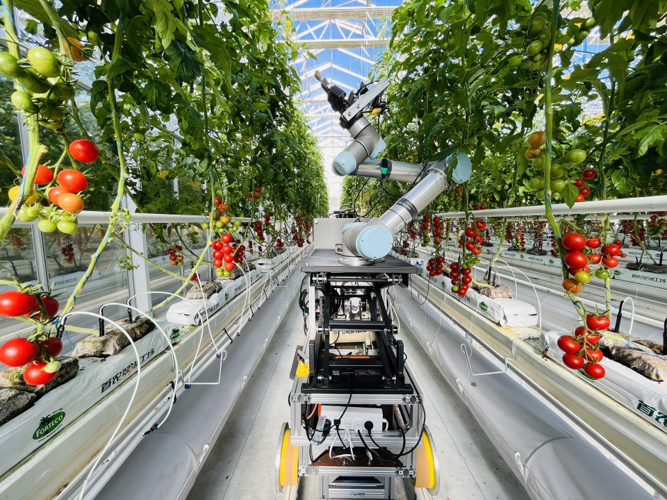 5603085f-3194-4ee2-b1ea-b9eacddb5228