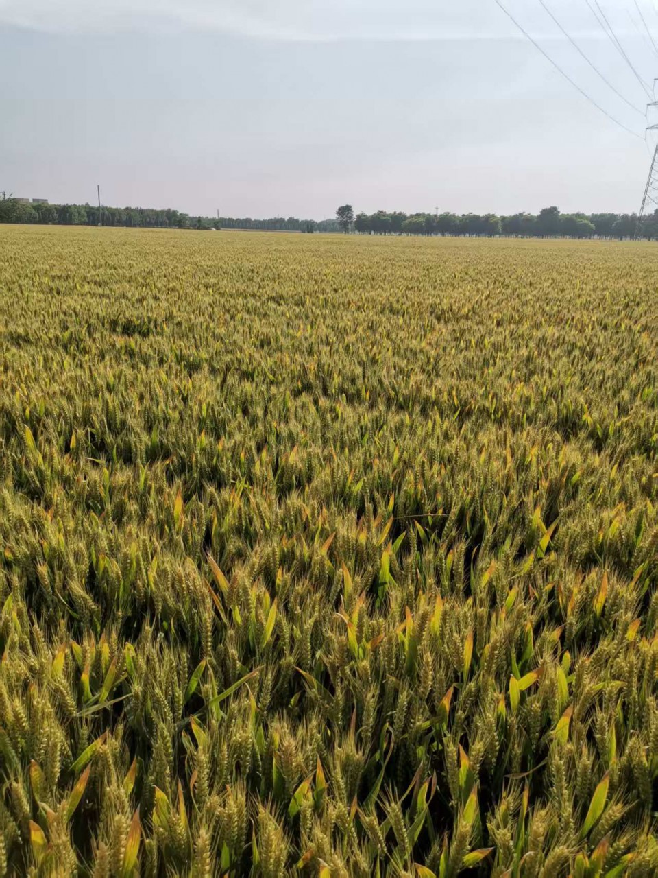 微信圖片_20250523170048