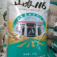 國(guó)審山農(nóng)116優(yōu)質(zhì)強(qiáng)筋小麥種