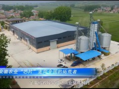 安徽農(nóng)業(yè)“芯片”走向全國的拓荒者~宿州市金穗種業(yè)有限公司 (524播放)