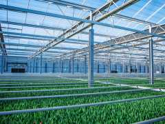 山東溫室大棚展 /2026山東濟(jì)南溫室大棚技術(shù)與設(shè)備博覽會