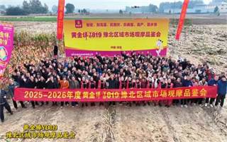 2025—2026年度黃金棒YD819豫北區(qū)域市場觀摩品鑒會在滑縣成功舉行
