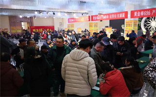 現(xiàn)場訂購8260畝！黃金棒696市場啟動會在西平舉行