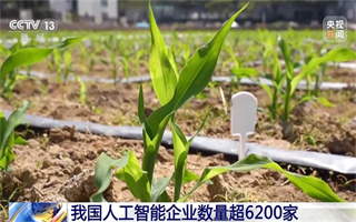 從能源到育種 我國(guó)人工智能企業(yè)數(shù)量已超6200家